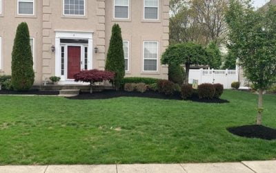 Keep Your Landscape Garden During Summer