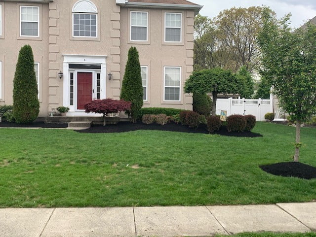 Keep Your Landscape Garden During Summer