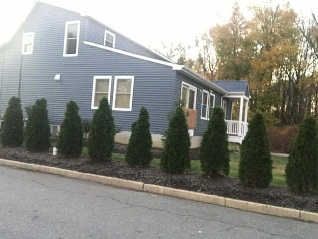 edge 19 Professional Hedge Trimming Services - Better Edge Lawn and Landscaping