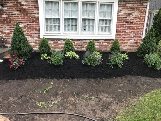 edge 24 lawn and hedge maintenance