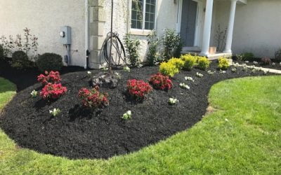 7 Landscaping Tips for New Homeowners