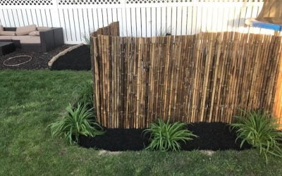 Animals Ruining Your Garden? Try These Fence Ideas That Actually Work