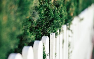 When to Install Garden Fences