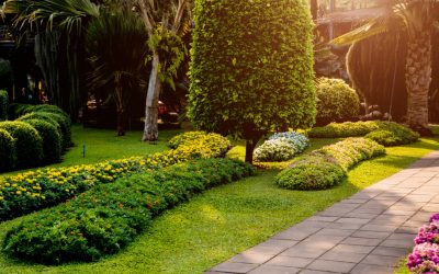 Elevate Your Property’s Appeal with Expert Hardscaping