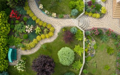 Creating Your Perfect Outdoor Oasis: A Guide to Garden Design