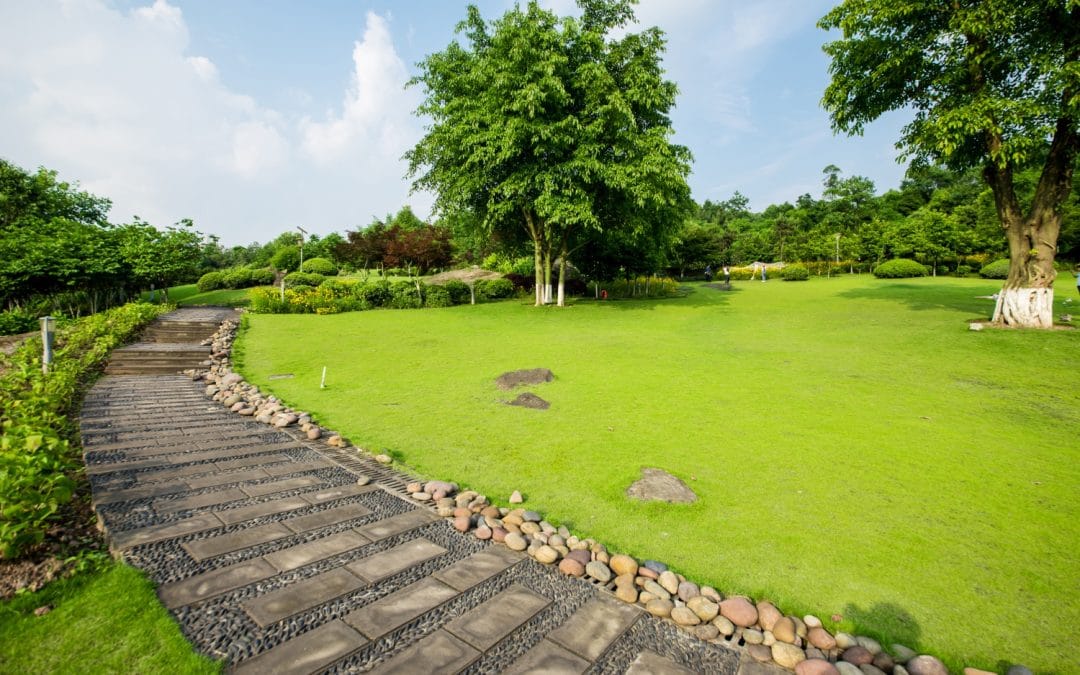 Revitalize Your Outdoor Space with Top Lawn Maintenance Tips