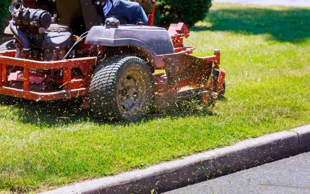 Achieving a Picture-Perfect Lawn: Expert Lawn Cutting Tips for Homeowners