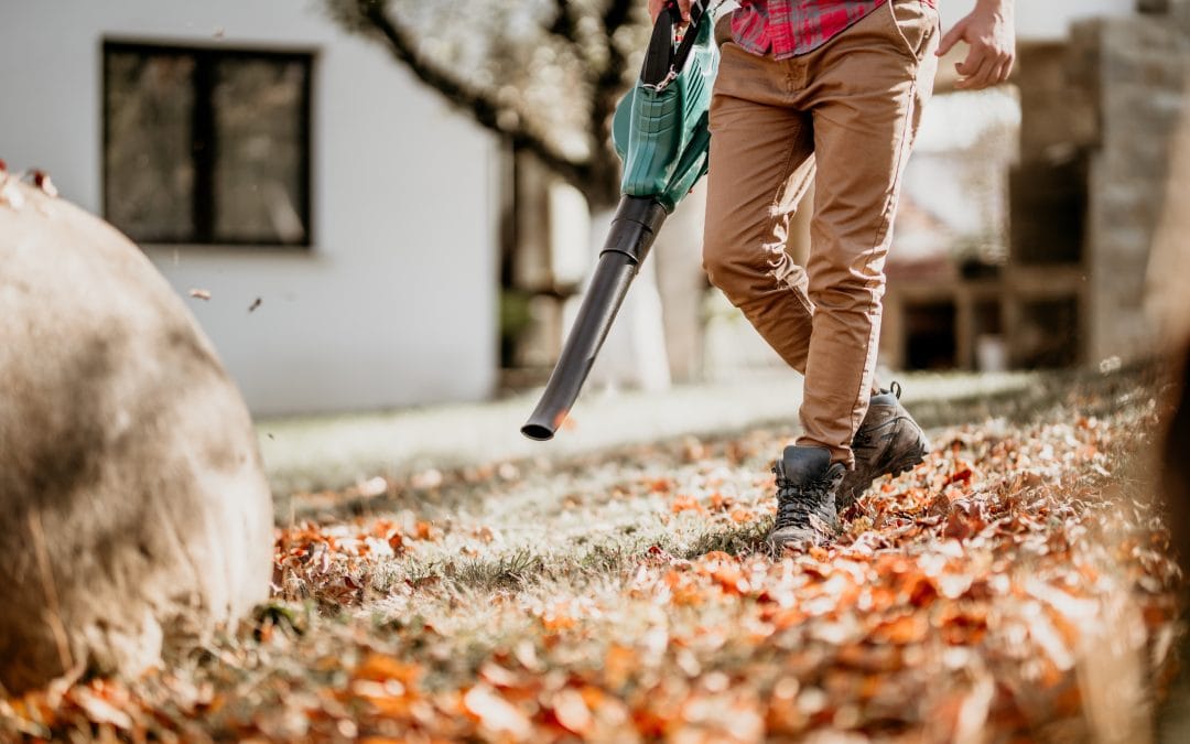 Top 5 Landscaping Services to Transform Your Yard This Fall