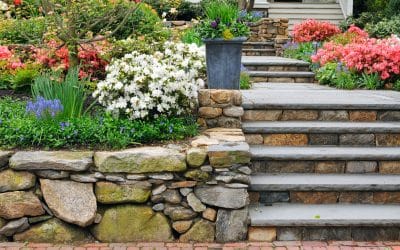 Hardscaping Tips Every Homeowner Should Know