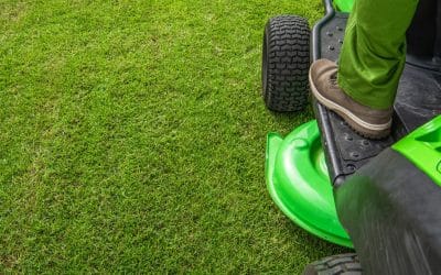 The Secret to a Healthy Lawn in New Jersey? It’s All About Seasonal Yard Care